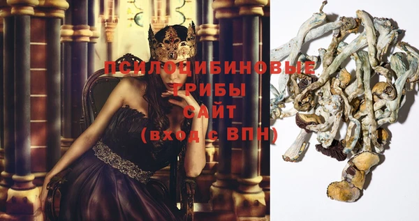 спиды Карпинск