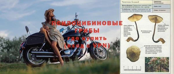 спиды Карпинск