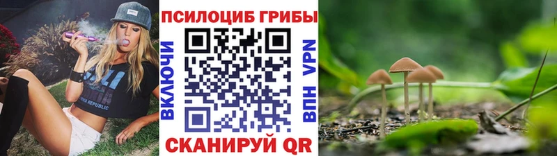 цены наркотик  Томск  darknet Telegram  Галлюциногенные грибы Magic Shrooms 