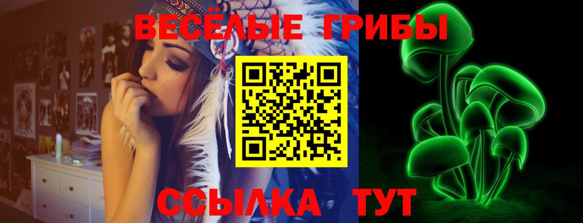 Псилоцибиновые грибы Cubensis Россия