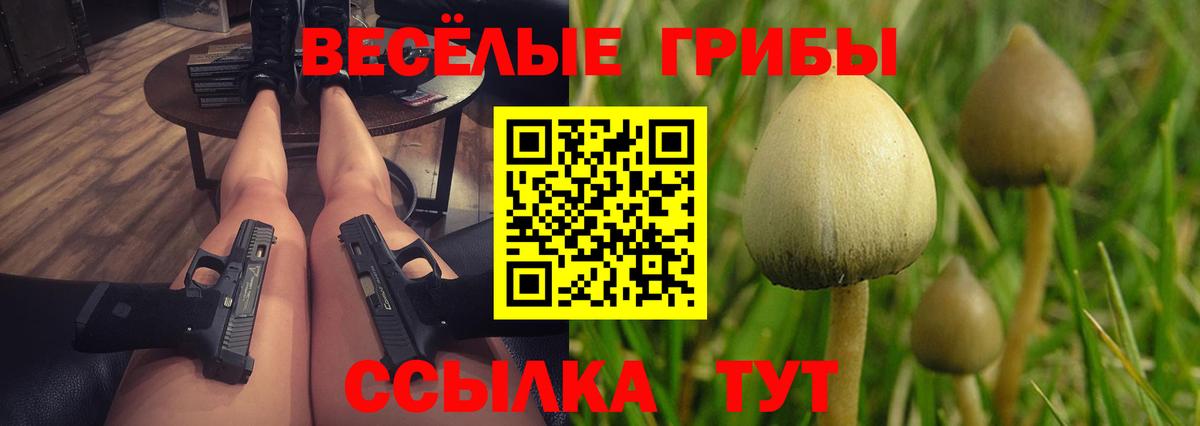 Россия  Галлюциногенные грибы Psilocybine cubensis  Вход с VPN 