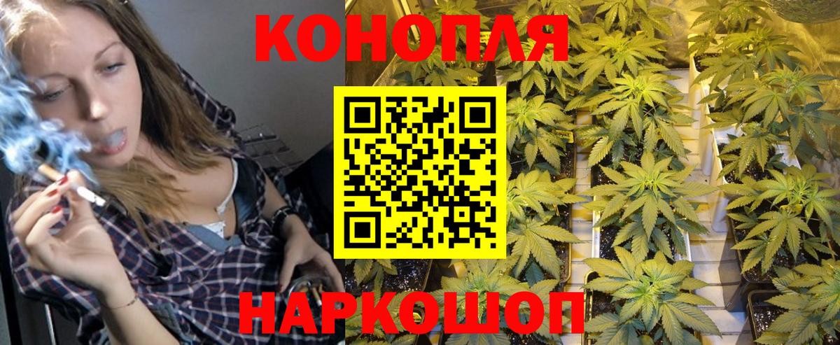 Шишки марихуана сатива  Бошки марихуана OG Kush  Канабис планчик  Россия  Вход с VPN  МАРИХУАНА марихуана 